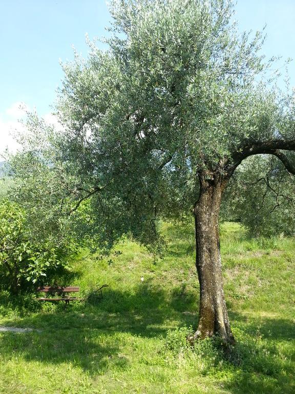 Ca' Dei Gatti Villa Toscolano Maderno Exterior foto